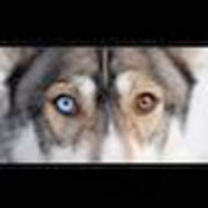 Meet your Posher, Audrey